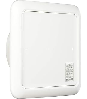Amazon | Panasonic (パナソニック) 自然給気口 (アレルバスター